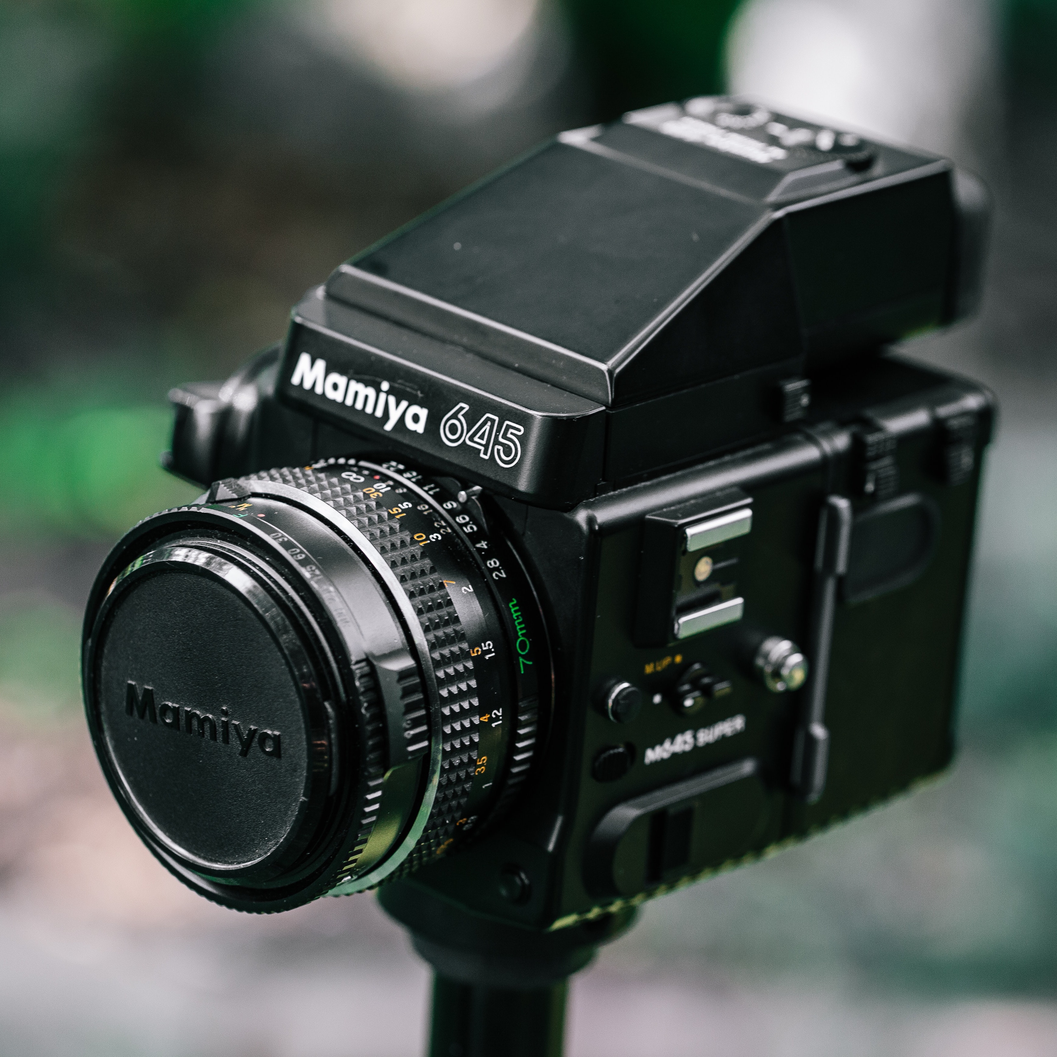 Medium Format Analog Camera